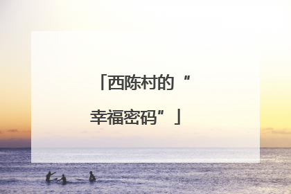 西陈村的“幸福密码”