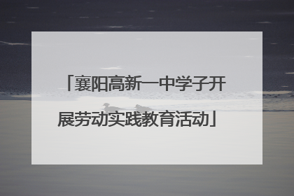 襄阳高新一中学子开展劳动实践教育活动