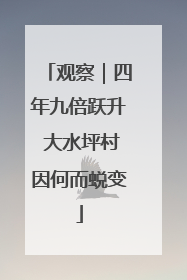 观察｜四年九倍跃升 大水坪村因何而蜕变