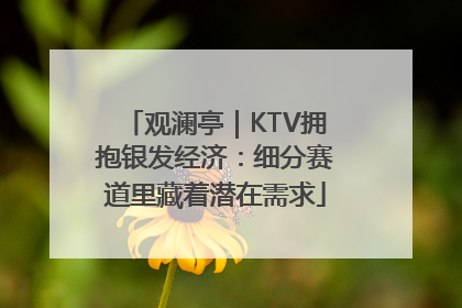 观澜亭｜KTV拥抱银发经济：细分赛道里藏着潜在需求