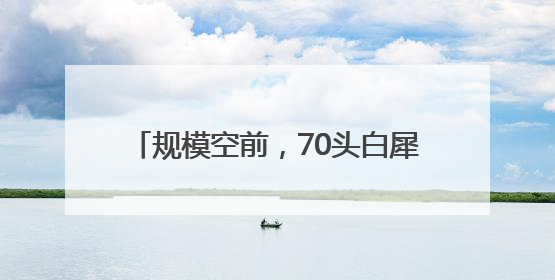规模空前，70头白犀牛从南非运抵卢旺达
