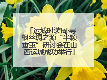 运城时装周·寻根丝绸之源“半颗蚕茧”研讨会在山西运城成功举行