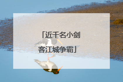 近千名小剑客江城争霸
