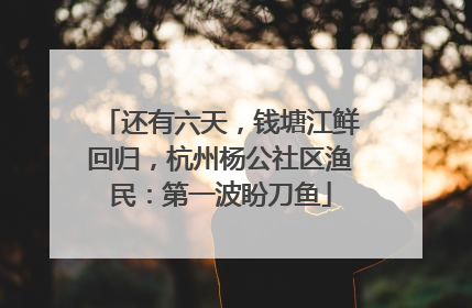 还有六天，钱塘江鲜回归，杭州杨公社区渔民：第一波盼刀鱼