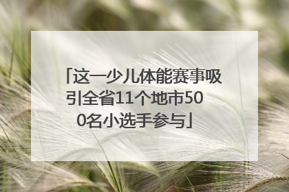 这一少儿体能赛事吸引全省11个地市500名小选手参与
