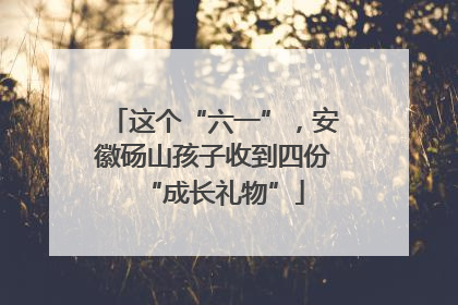 这个“六一”，安徽砀山孩子收到四份“成长礼物”
