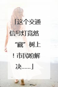 这个交通信号灯竟然“藏”树上！市民盼解决……