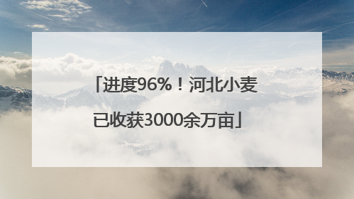 进度96%！河北小麦已收获3000余万亩