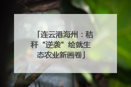 连云港海州：秸秆“逆袭”绘就生态农业新画卷