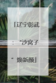 辽宁彰武：“沙窝子”焕新颜