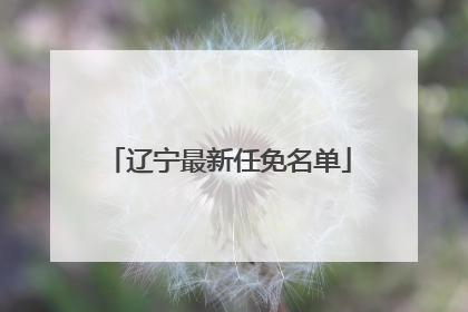 辽宁最新任免名单