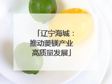 辽宁海城：推动菱镁产业高质量发展