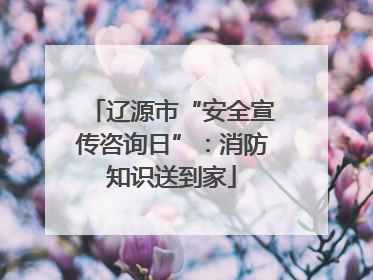 辽源市“安全宣传咨询日”：消防知识送到家
