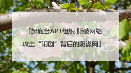 起底台APT组织 撕破网络攻击“闹剧”背后的阴谋网