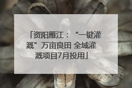 资阳雁江：“一键灌溉”万亩良田 全域灌溉项目7月投用