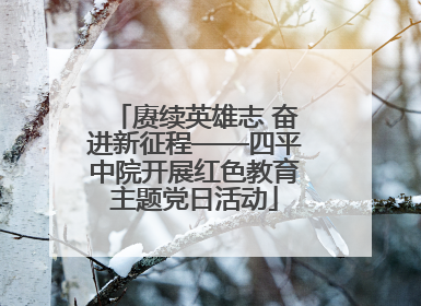 赓续英雄志 奋进新征程——四平中院开展红色教育主题党日活动