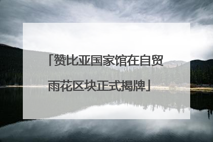 赞比亚国家馆在自贸雨花区块正式揭牌