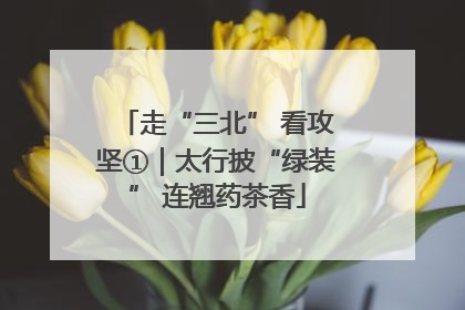 走“三北” 看攻坚①｜太行披“绿装” 连翘药茶香