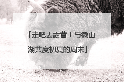走吧去露营！与微山湖共度初夏的周末