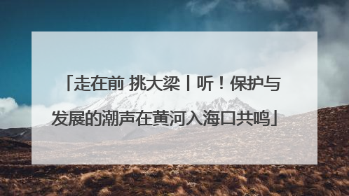 走在前 挑大梁丨听！保护与发展的潮声在黄河入海口共鸣