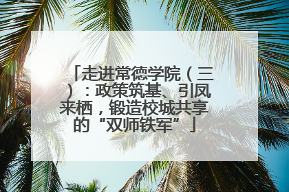 走进常德学院（三）：政策筑基、引凤来栖，锻造校城共享的“双师铁军”