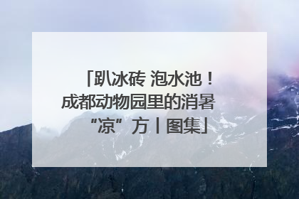 趴冰砖 泡水池！成都动物园里的消暑“凉”方丨图集