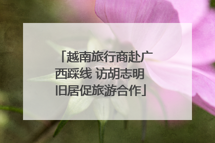 越南旅行商赴广西踩线 访胡志明旧居促旅游合作