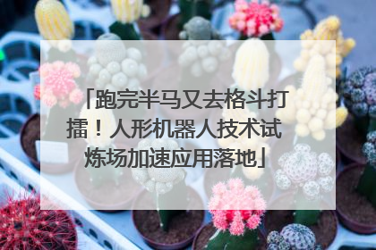 跑完半马又去格斗打擂！人形机器人技术试炼场加速应用落地