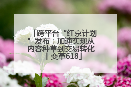 跨平台“红京计划”发布：加速实现从内容种草到交易转化丨变革618