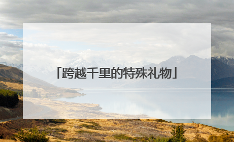 跨越千里的特殊礼物