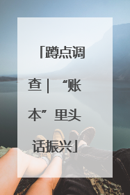 蹲点调查｜“账本”里头话振兴