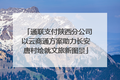 通联支付陕西分公司以云商通方案助力长安唐村绘就文旅新图景