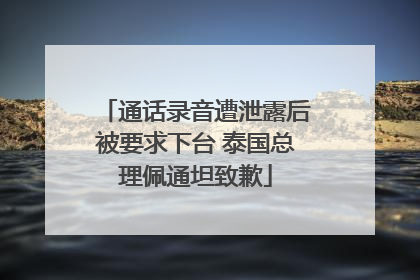 通话录音遭泄露后被要求下台 泰国总理佩通坦致歉