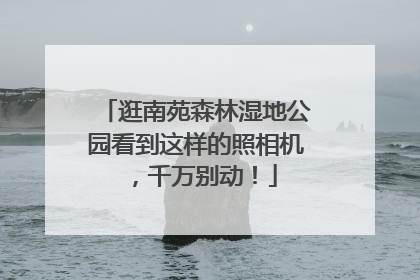 逛南苑森林湿地公园看到这样的照相机，千万别动！