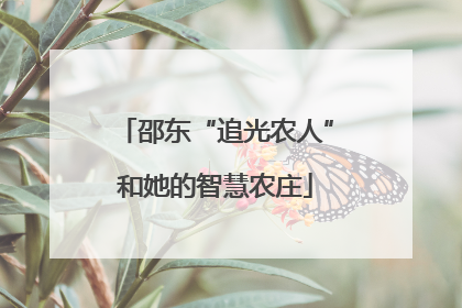 邵东“追光农人”和她的智慧农庄