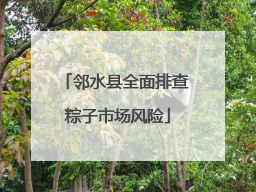 邻水县全面排查粽子市场风险