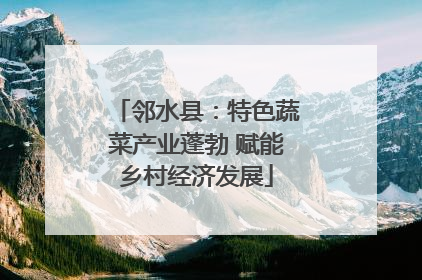 邻水县：特色蔬菜产业蓬勃 赋能乡村经济发展