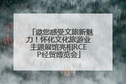 邀您感受文旅新魅力！怀化文化旅游业主题展馆亮相RCEP经贸博览会
