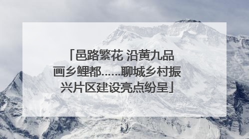 邑路繁花 沿黄九品 画乡鲤都……聊城乡村振兴片区建设亮点纷呈