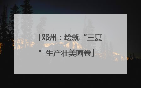 邓州：绘就“三夏”生产壮美画卷