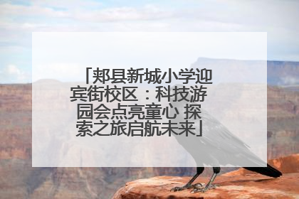 郏县新城小学迎宾街校区：科技游园会点亮童心 探索之旅启航未来