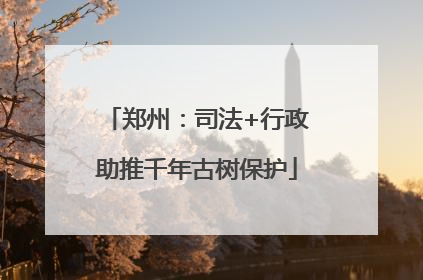 郑州：司法+行政助推千年古树保护
