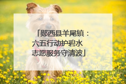 郧西县羊尾镇：六五行动护碧水 志愿服务守清波