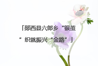 郧西县六郎乡“银茧”织就振兴“金路”