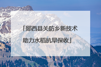 郧西县关防乡新技术助力水稻抗旱保收