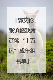 郭艾伦、张镇麟缺席辽篮“十五运”成年组名单
