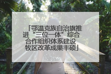 鄂温克族自治旗推进“三位一体”综合合作组织体系建设 牧区改革成果丰硕
