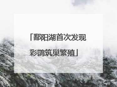 鄱阳湖首次发现彩鹮筑巢繁殖
