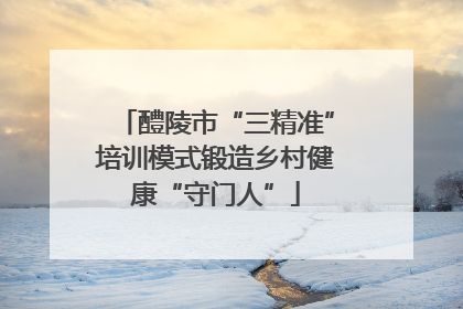醴陵市“三精准”培训模式锻造乡村健康“守门人”