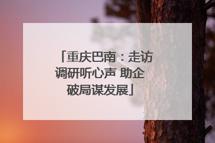 重庆巴南：走访调研听心声 助企破局谋发展